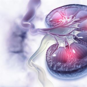 Belimumab benefit sustained regardless of lupus nephritis status