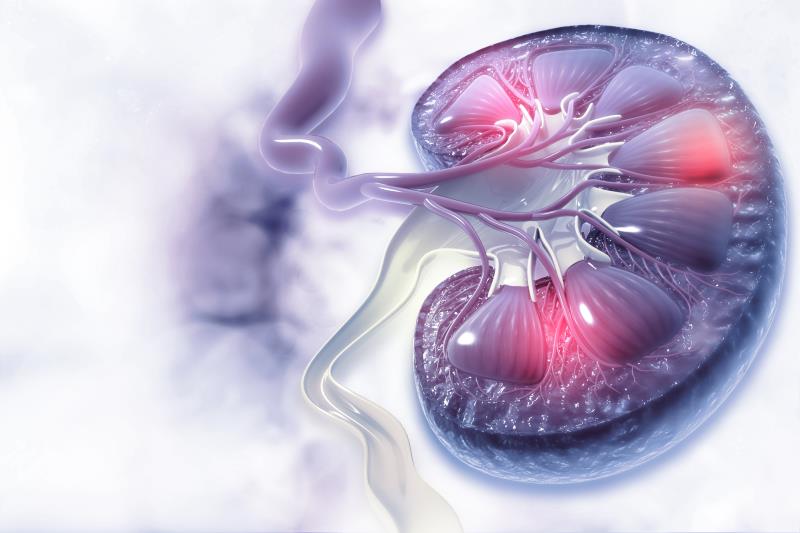 Belimumab benefit sustained regardless of lupus nephritis status