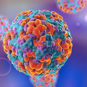 Routine testing for enterovirus CNS infection a must in febrile infants: study