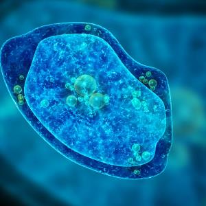 Could brain-eating amoeba infections be on the horizon?