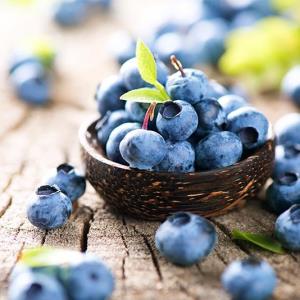 Blueberries induce calmness but not better cognition, sleep quality in MetS patients