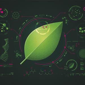 Botanical compound boosts blood sugar control in prediabetes, early T2D