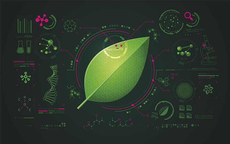 Botanical compound boosts blood sugar control in prediabetes, early T2D