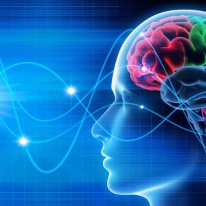 Diet-induced weight loss tied to altered brain connectivity