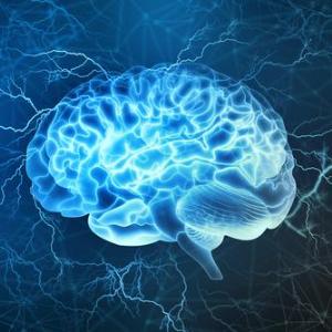 Spirulina improves visual memory and vocabulary in mild cognitive impairment