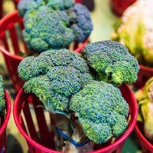 Cruciferous vegetables help avert recurrence in NMIBC patients on BCG