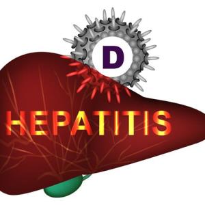 Bulevirtide monotherapy sustains virologic, biochemical responses in CHD