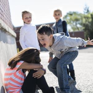 Educational interventions may prevent bullying in teens