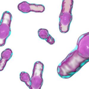 Faecal microbiota spores deliver benefit in older patients with C. diff recurrence