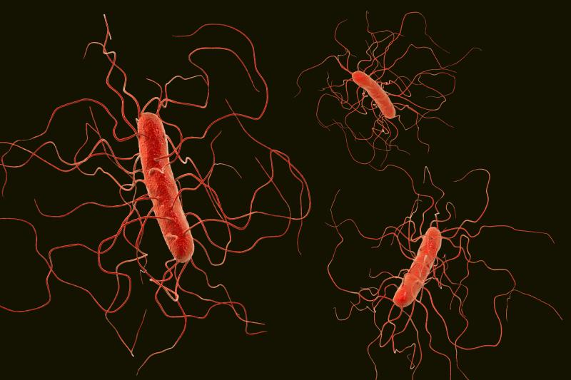 Clostridioides difficile infection undertreated in Singapore