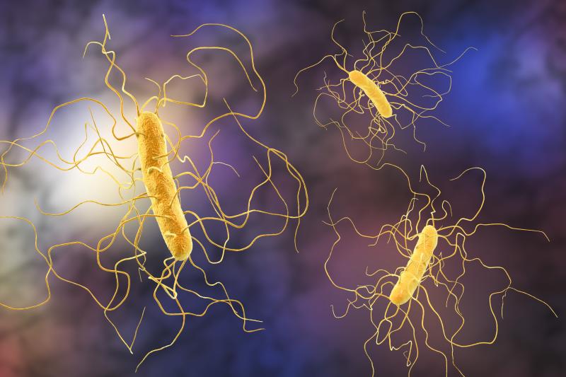 Faecal microbiota transplant safe, effective for recurrent CDI