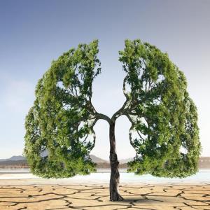 CameL at 5 years: 1L camrelizumab plus chemo maintains long-term OS benefit