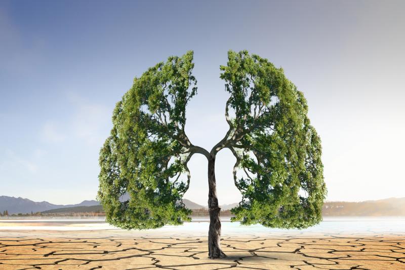 CameL at 5 years: 1L camrelizumab plus chemo maintains long-term OS benefit