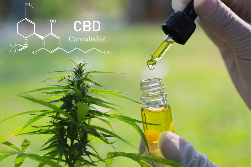 Cannabidiol reduces tuberous sclerosis complex-associated seizure frequency