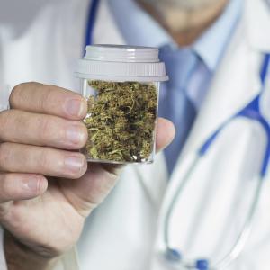 Cannabis amplifies postoperative pain