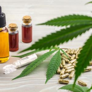 Cannabinoids may reduce acute pain