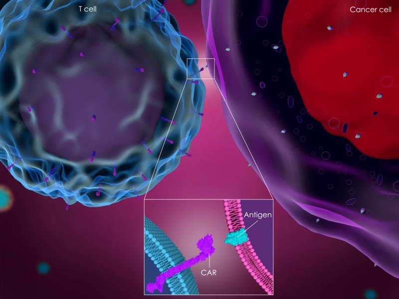 CAR T-cell therapy for relapsed/refractory diffuse large B-cell lymphoma