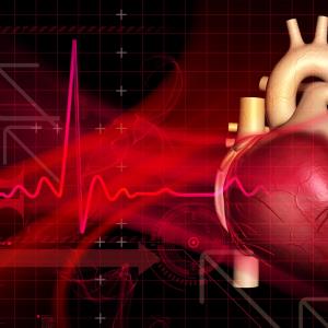 Standard of care guidelines improve outcomes in coronary heart disease patients