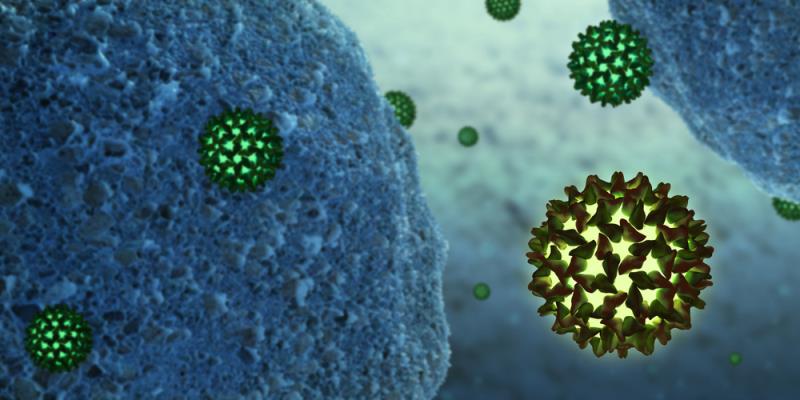 Novel agent holds promise against hepatitis B