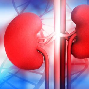 Chronic kidney disease risk elevated in AKI survivors with cirrhosis