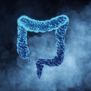 Smoking effect on colorectal neoplasia risk may vary by IBD type