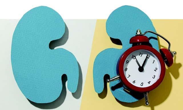 Illusion of knowledge: The greatest enemy of nephrology