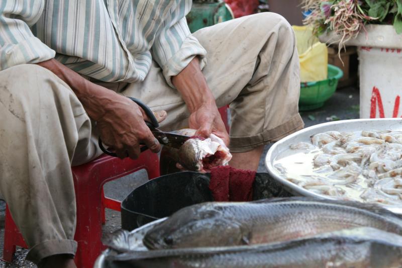 Moderate fish consumption lowers all-cause, CVD mortality risks