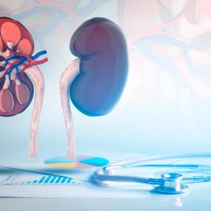 Immunosuppressant withdrawal viable in lupus nephritis