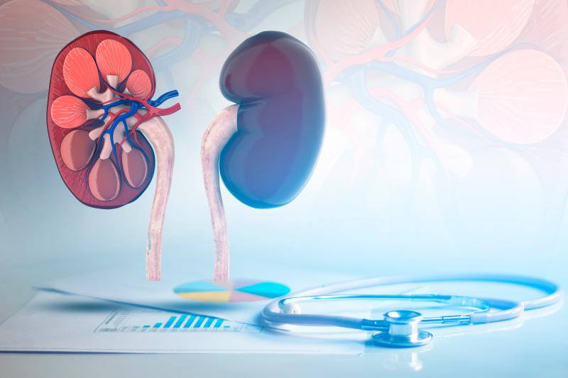 Immunosuppressant withdrawal viable in lupus nephritis