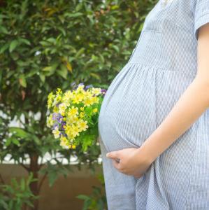 Surrogate mothers at high risk of morbidity, adverse pregnancy outcomes
