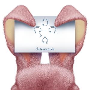 Clotrimazole beats tolnaftate for uncomplicated otomycosis