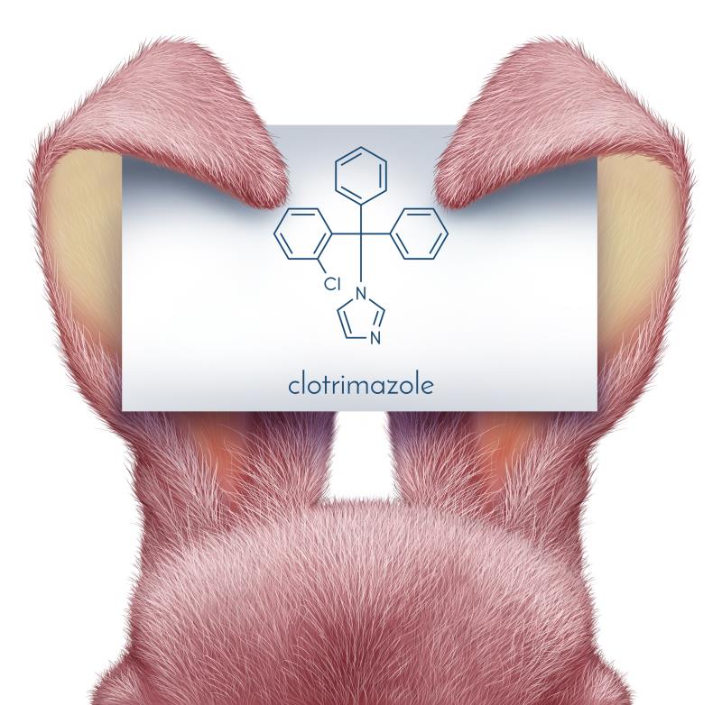 Clotrimazole beats tolnaftate for uncomplicated otomycosis