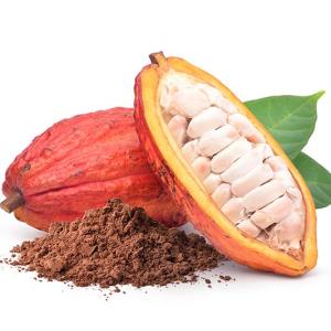 Cocoa extract may prevent hypertension in older adults with normal BP