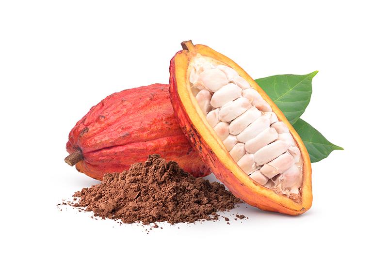 Cocoa extract may prevent hypertension in older adults with normal BP