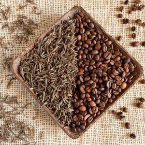 Can daily coffee or tea intake slow cognitive decline in older adults?