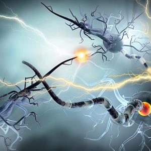 Common heart medication shows therapeutic potential in Huntington disease