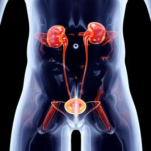 Cefepime-taniborbactam trumps meropenem for complicated UTI