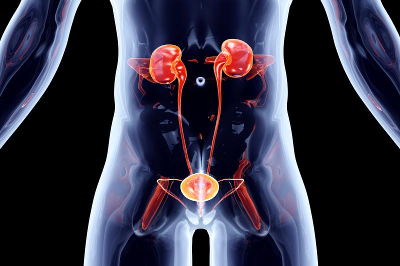 Cefepime-taniborbactam trumps meropenem for complicated UTI