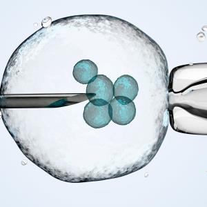 COVID-19 infection unlikely to hinder IVF success