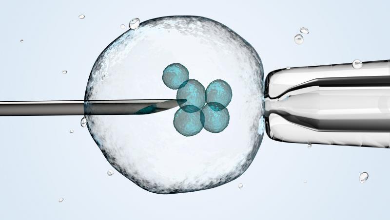 COVID-19 infection unlikely to hinder IVF success