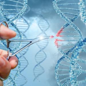 Urine test predicts bladder cancer risk 12 years prior to symptom onset