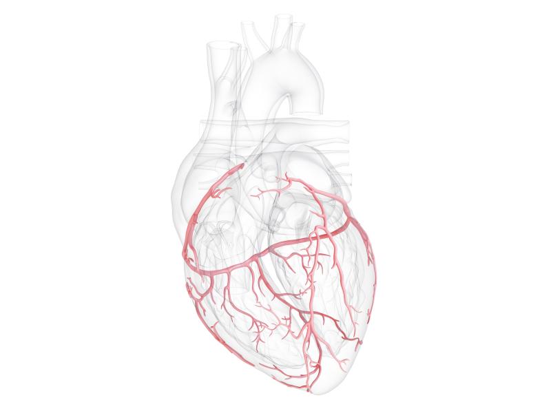 CABG most effective for multivessel disease among diabetics in FREEDOM trial