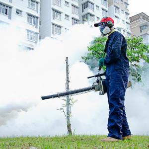 Current Dengue Prevention Initiatives in Singapore