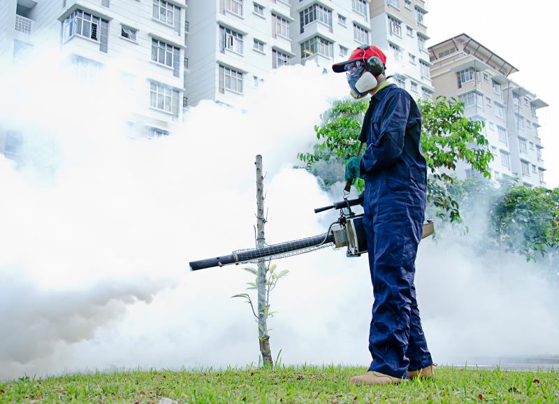 Current Dengue Prevention Initiatives in Singapore