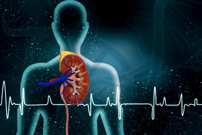 CV benefits of dapagliflozin evident regardless of baseline kidney function