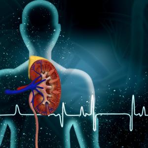 CV benefits of dapagliflozin evident regardless of baseline kidney function