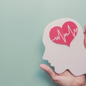 CV risk management crucial in clinical care of epilepsy patients