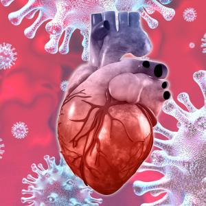 CVD raises COVID-19 mortality risk