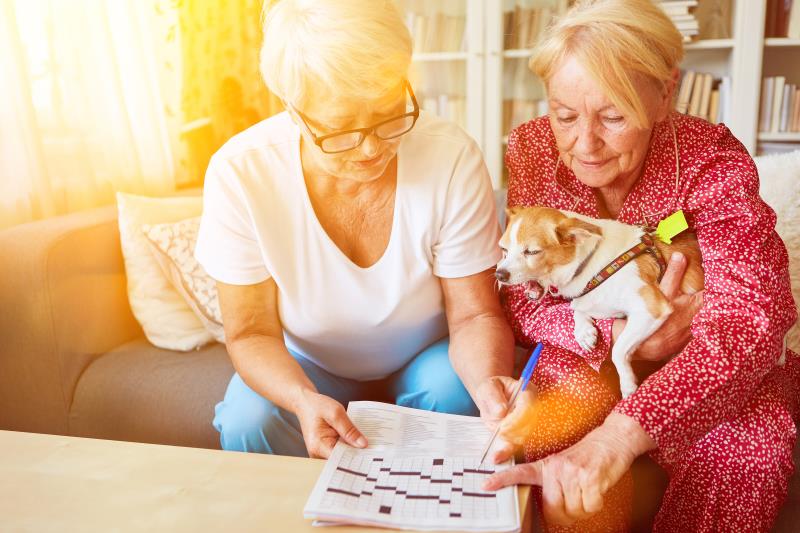 Crosswords may help keep Alzheimer’s at bay