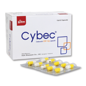 Product Highlight - Cybec